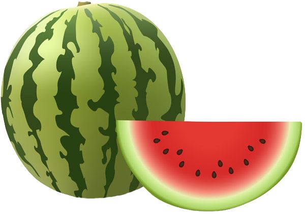 watermelon PNG image, picture, download    图片编号:242