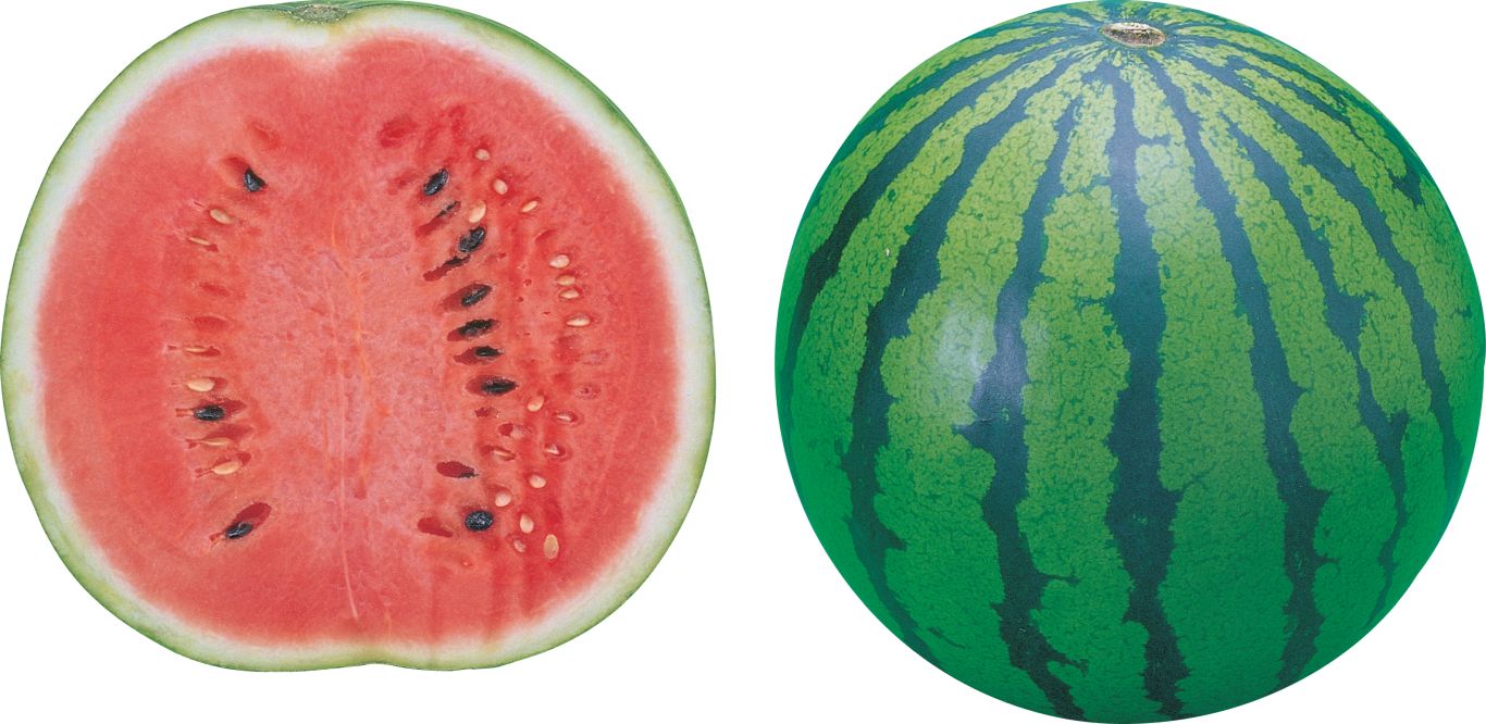 watermelon PNG image    图片编号:2641