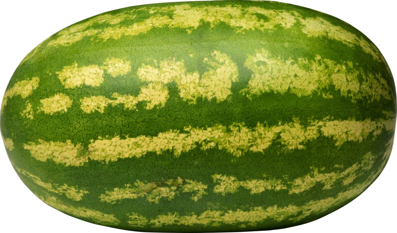 watermelon PNG image    图片编号:2662