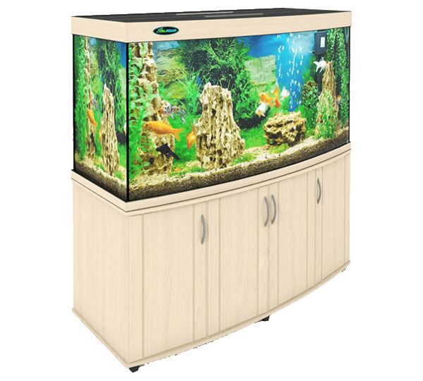 Aquarium PNG    图片编号:67505