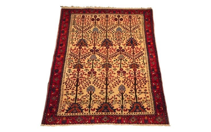 Carpet, rug PNG    图片编号:57669