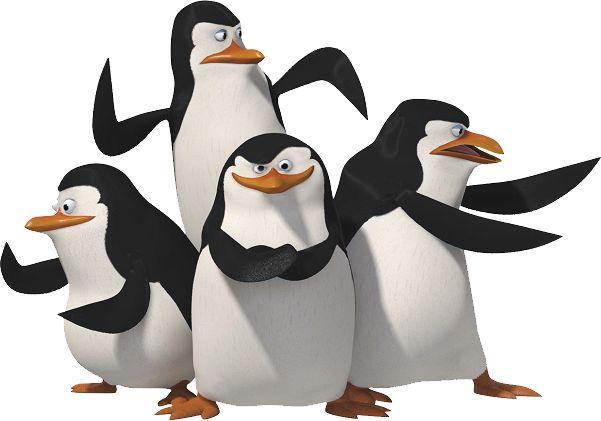 Madagascar penguins PNG    图片编号:31119