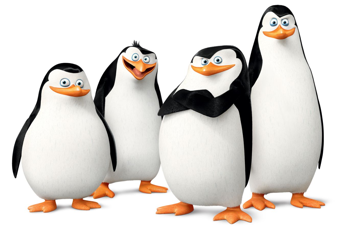 Madagascar penguins PNG    图片编号:31144