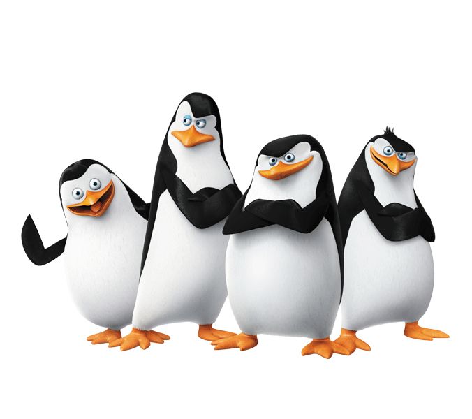 Madagascar penguins PNG    图片编号:31150