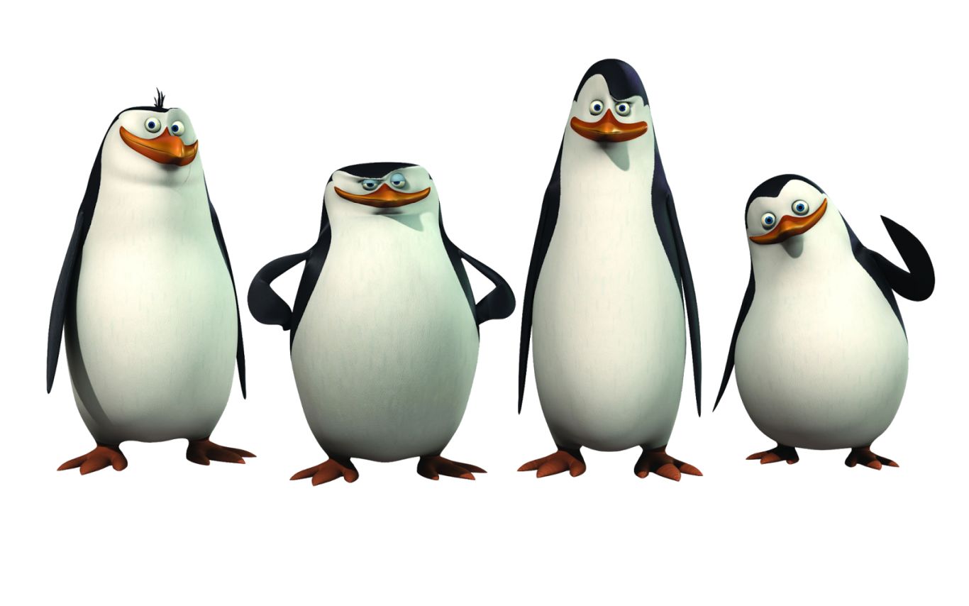 Madagascar penguins PNG    图片编号:31162