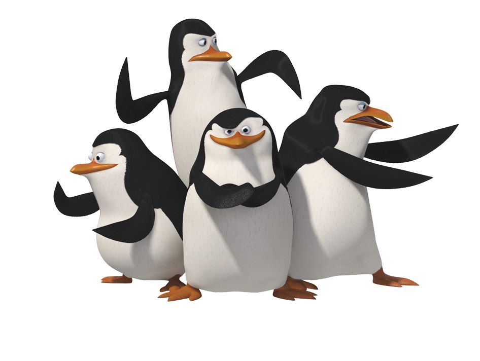 Madagascar penguins PNG    图片编号:31173
