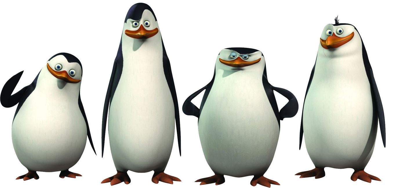 Madagascar penguins PNG    图片编号:31114