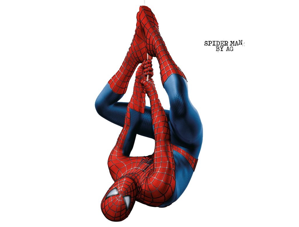 Spider-Man PNG    图片编号:28931