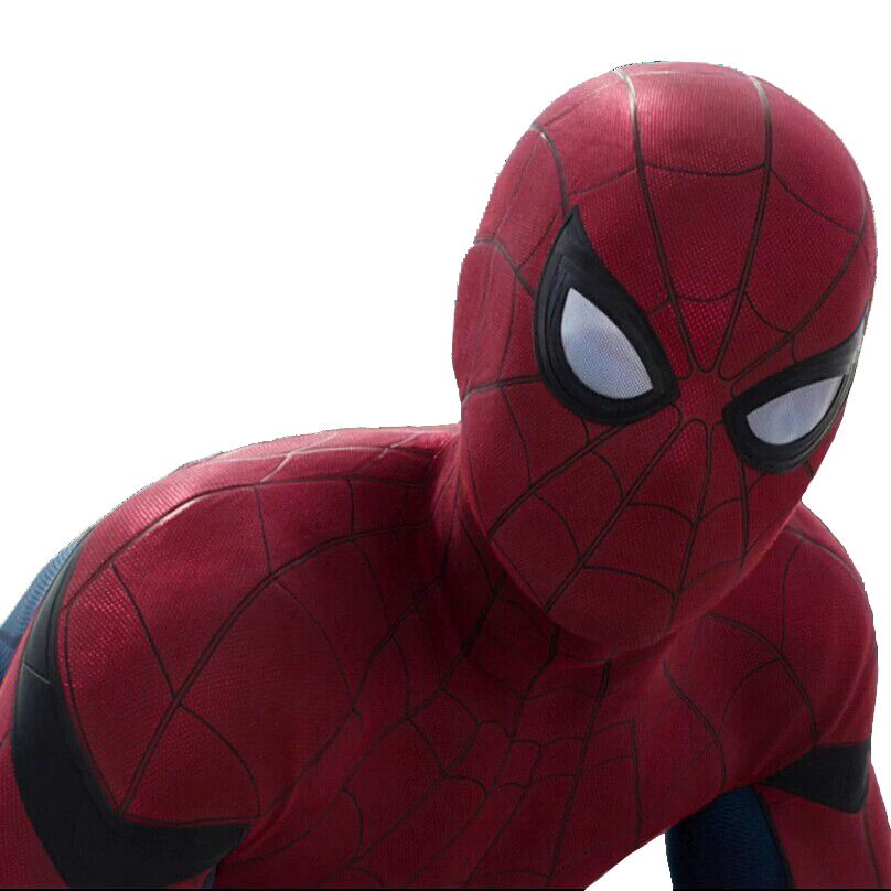 Spider-Man PNG    图片编号:28962