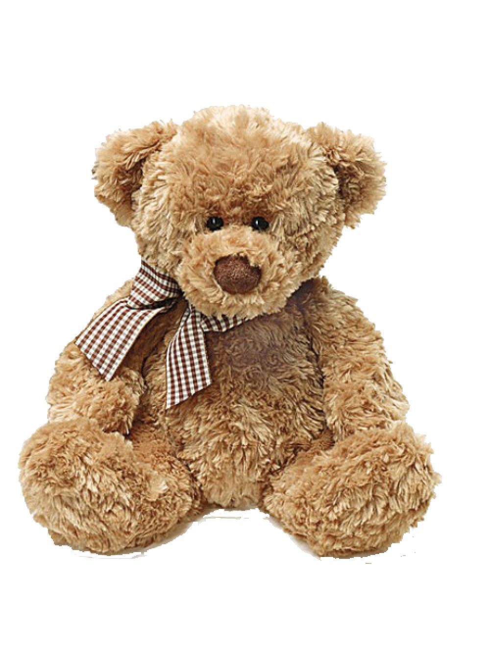 Teddy bear PNG    图片编号:57513
