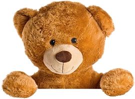 Teddy bear PNG    图片编号:57514