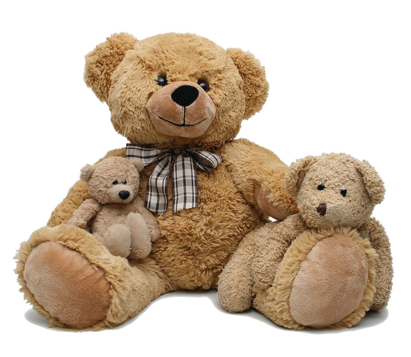 Teddy bear PNG    图片编号:57515