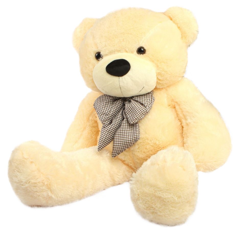 Teddy bear PNG    图片编号:57526