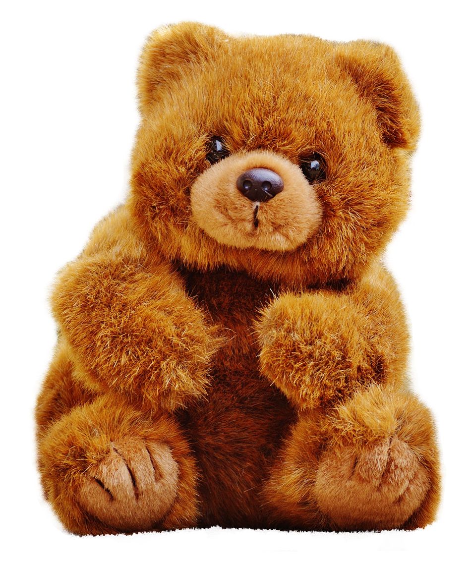 Teddy bear PNG    图片编号:57527