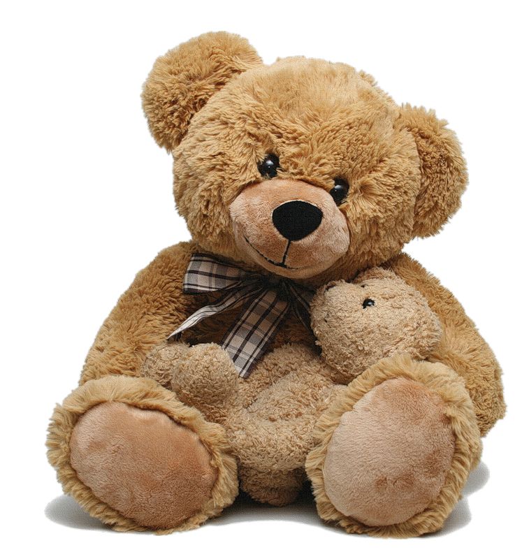 Teddy bear PNG    图片编号:57528