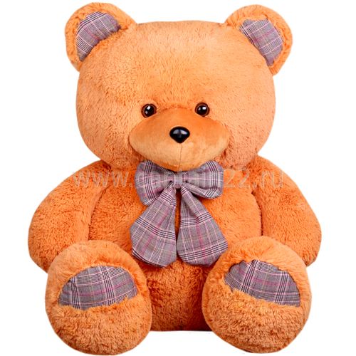 Teddy bear PNG    图片编号:57530