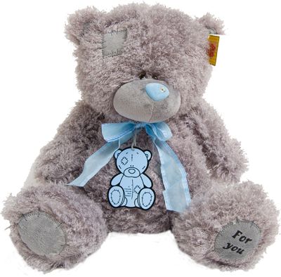 Teddy bear PNG    图片编号:57531