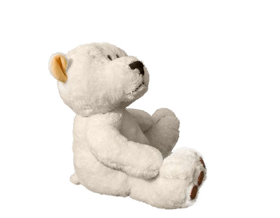 Teddy bear PNG    图片编号:57532