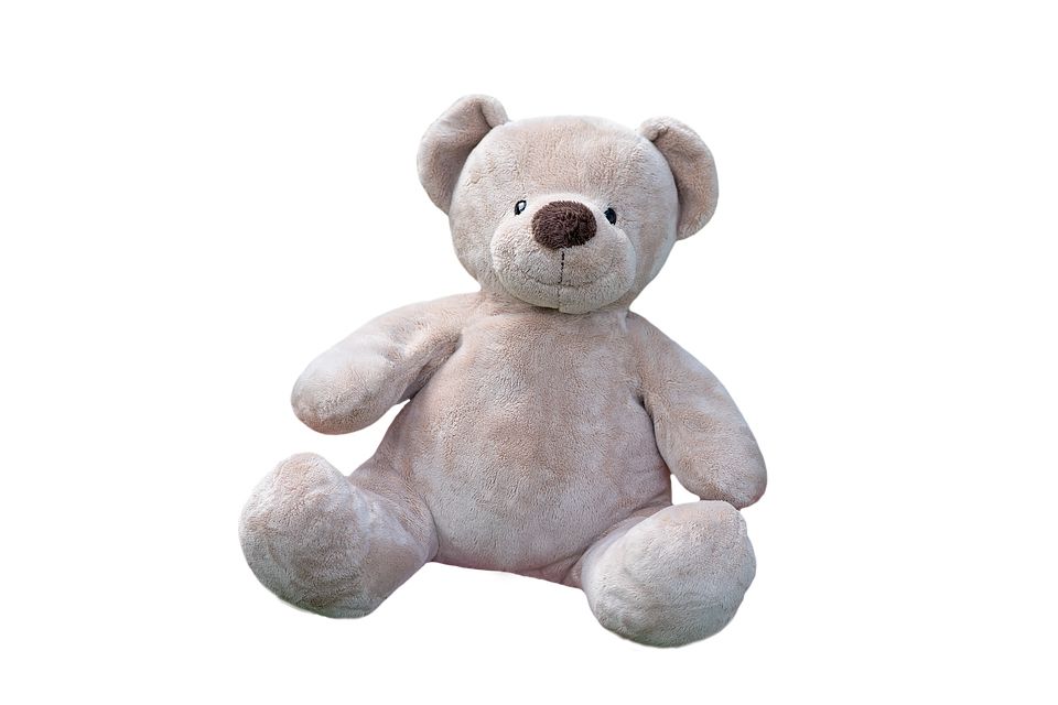 Teddy bear PNG    图片编号:57536