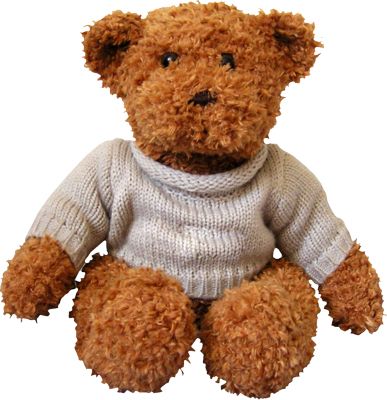 Teddy bear PNG    图片编号:57539
