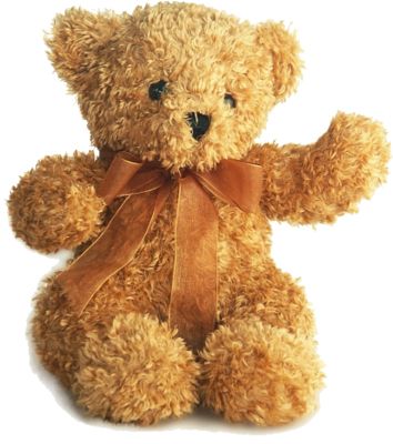 Teddy bear PNG    图片编号:57541
