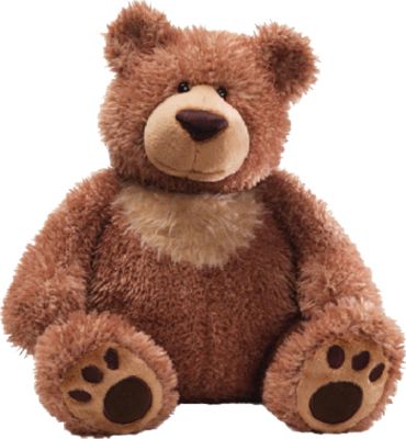 Teddy bear PNG    图片编号:57544