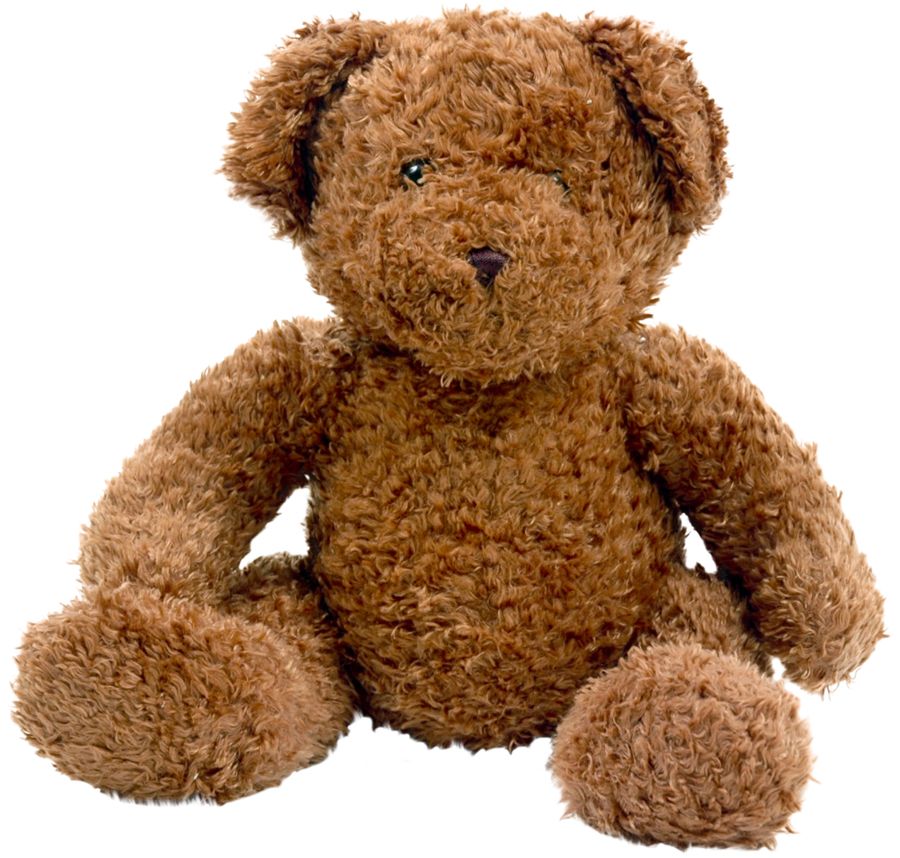 Teddy bear PNG    图片编号:57547