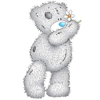 Teddy bear PNG    图片编号:57550