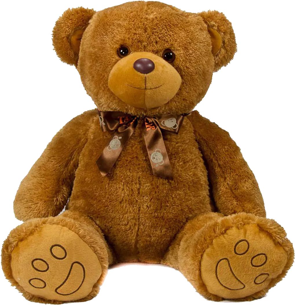 Teddy bear PNG    图片编号:57426