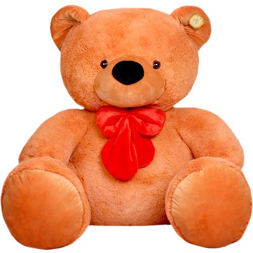 Teddy bear PNG    图片编号:57552