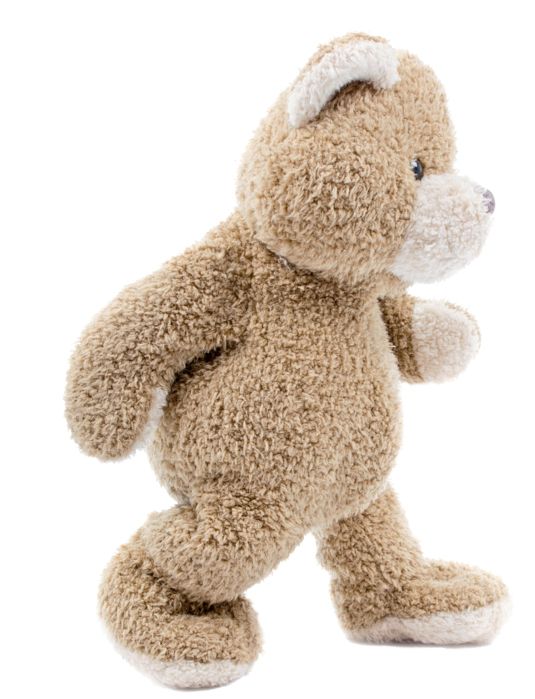 Teddy bear PNG    图片编号:57430