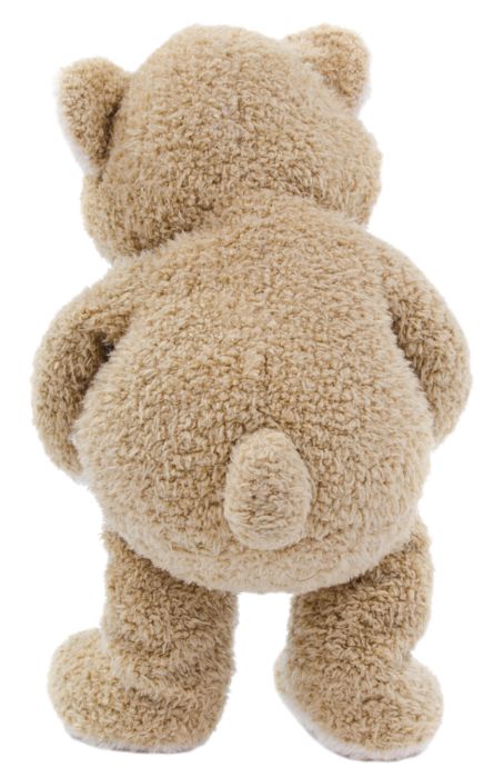 Teddy bear PNG    图片编号:57431