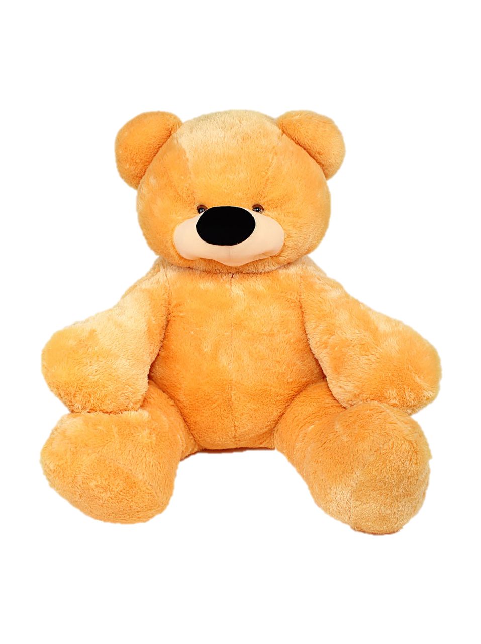 Teddy bear PNG    图片编号:57433