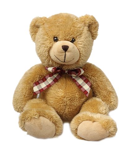Teddy bear PNG    图片编号:57434