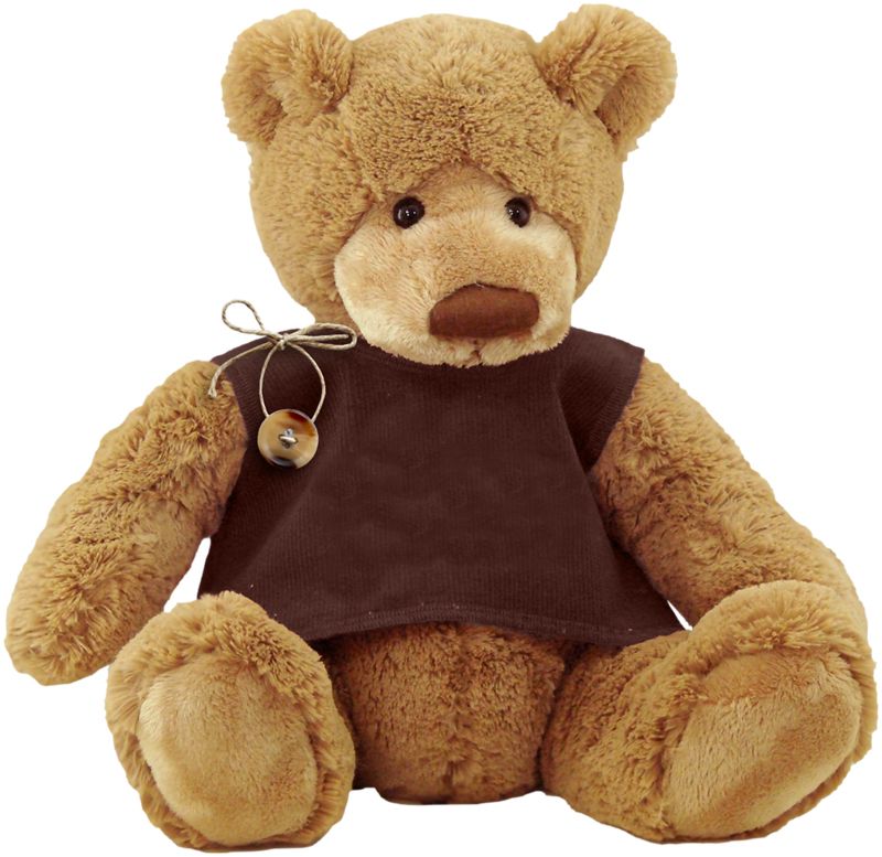 Teddy bear PNG    图片编号:57436