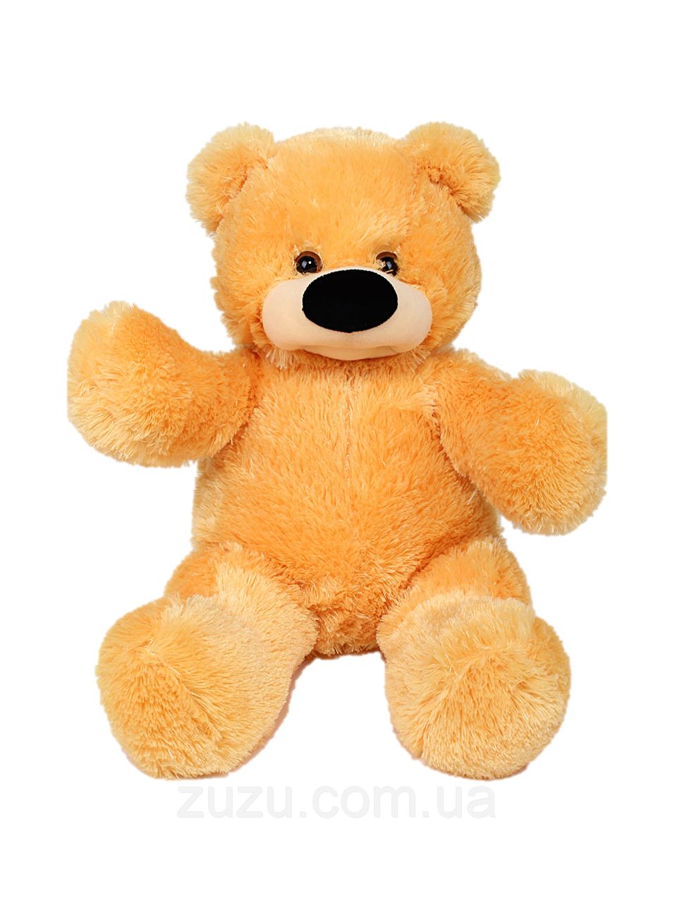 Teddy bear PNG    图片编号:57438