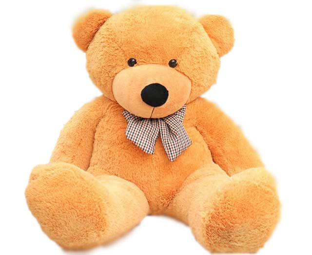 Teddy bear PNG    图片编号:57441