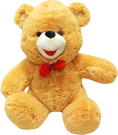 Teddy bear PNG    图片编号:57415