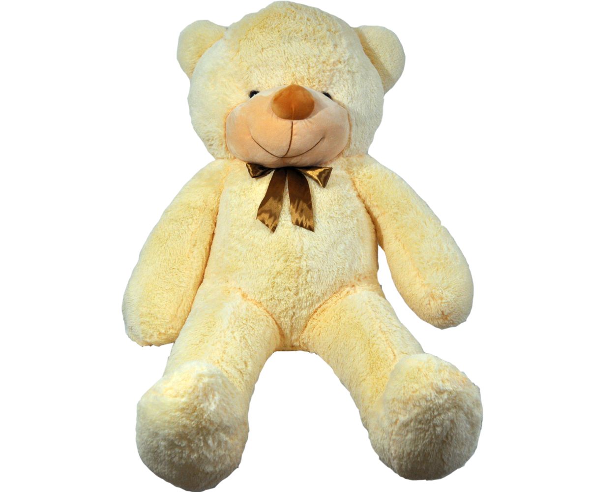 Teddy bear PNG    图片编号:57442