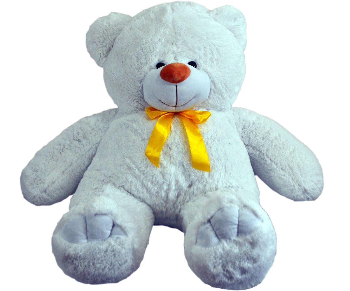 Teddy bear PNG    图片编号:57445