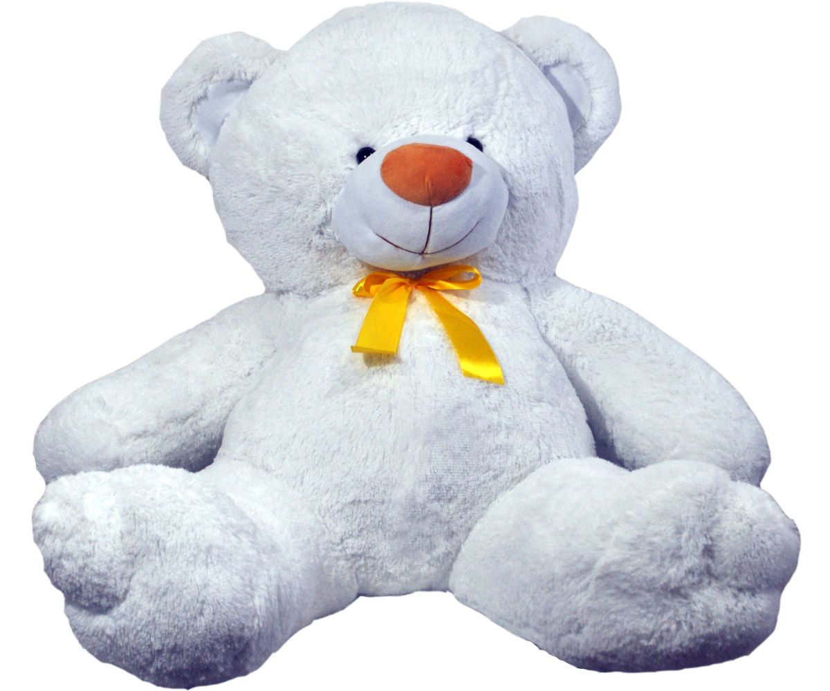 Teddy bear PNG    图片编号:57446