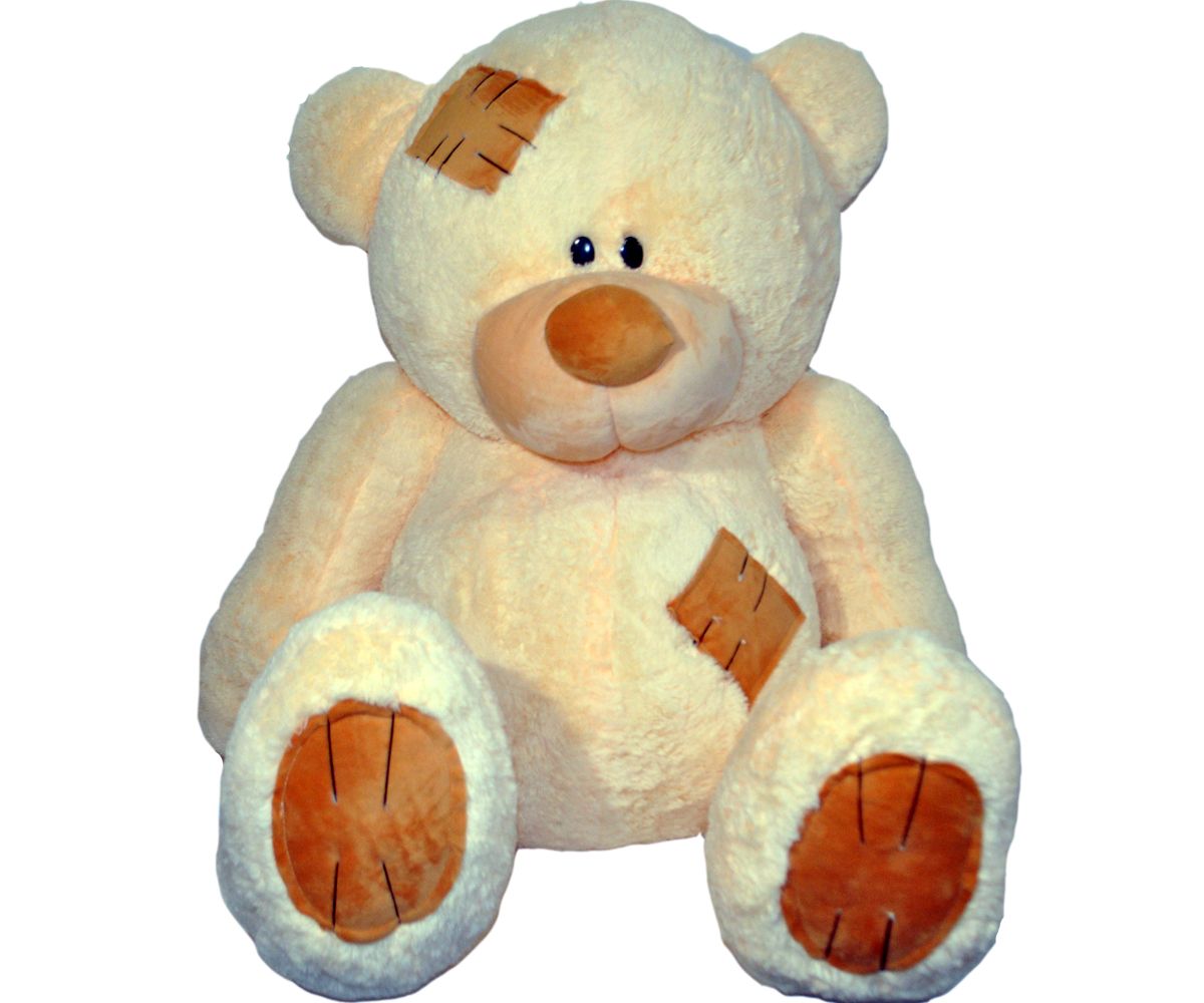 Teddy bear PNG    图片编号:57447