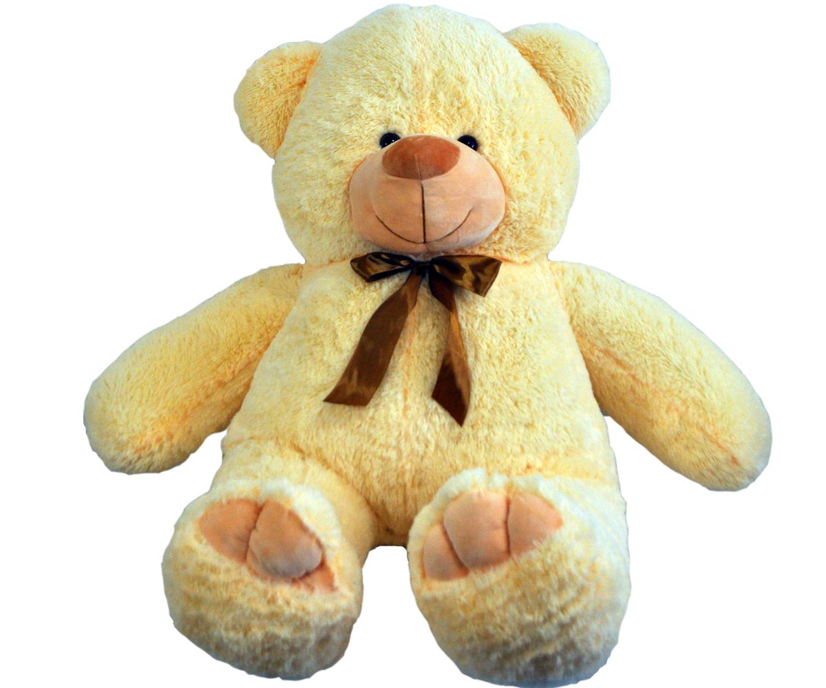 Teddy bear PNG    图片编号:57448