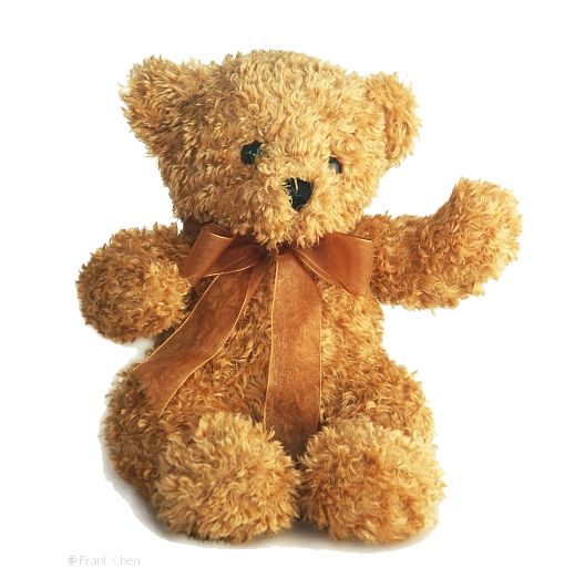 Teddy bear PNG    图片编号:57452