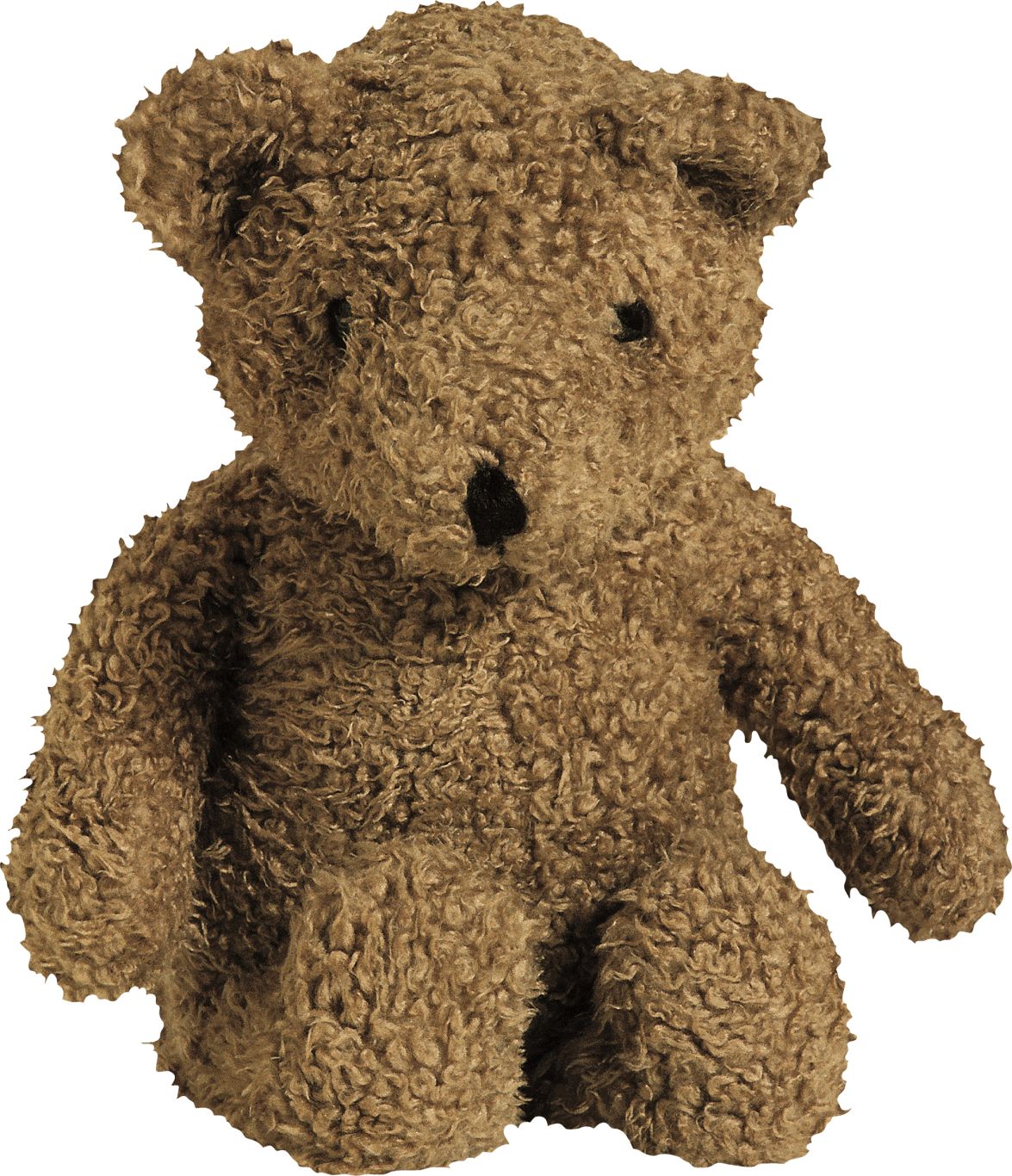 Teddy bear PNG    图片编号:57454