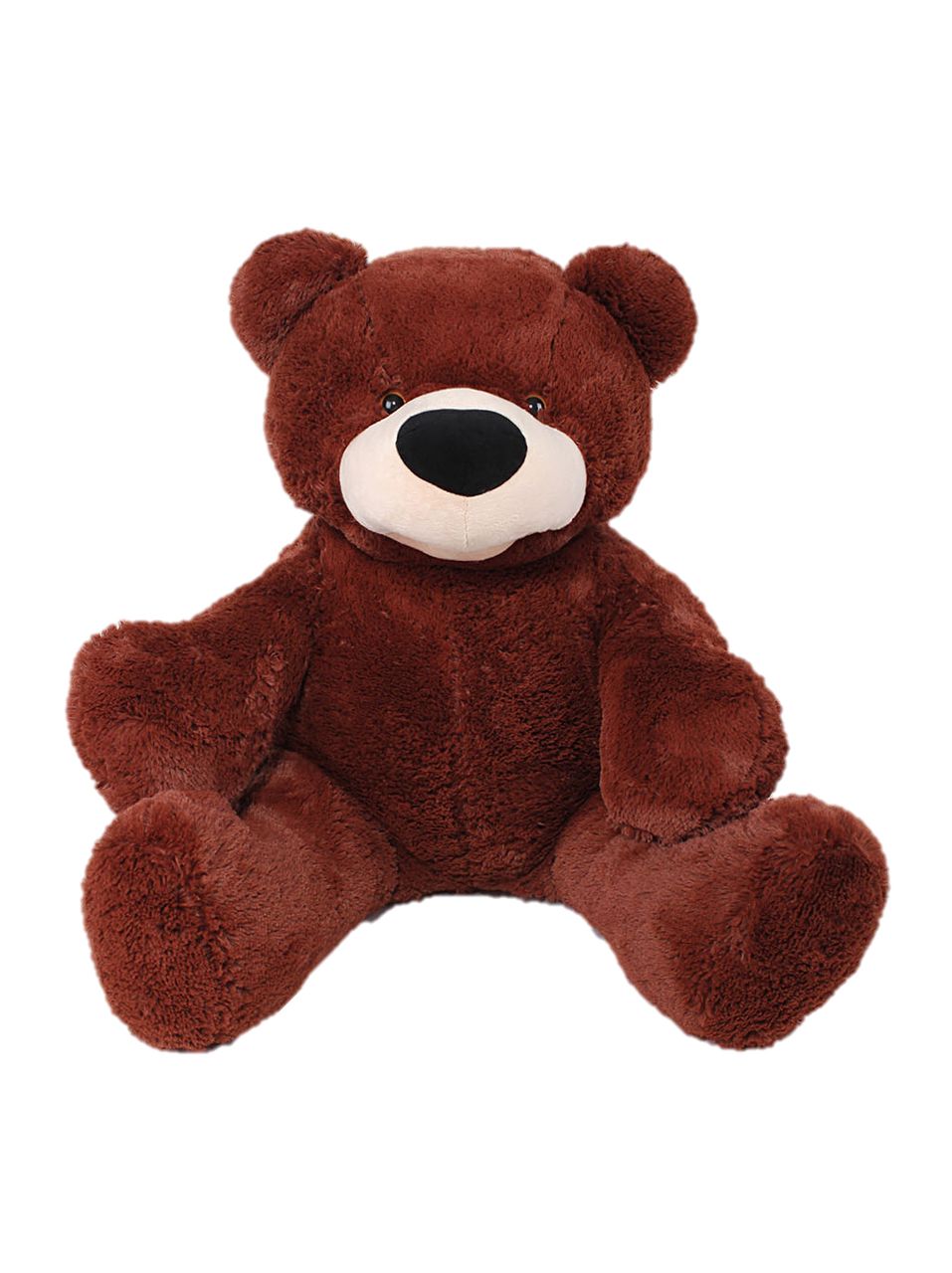 Teddy bear PNG    图片编号:57462