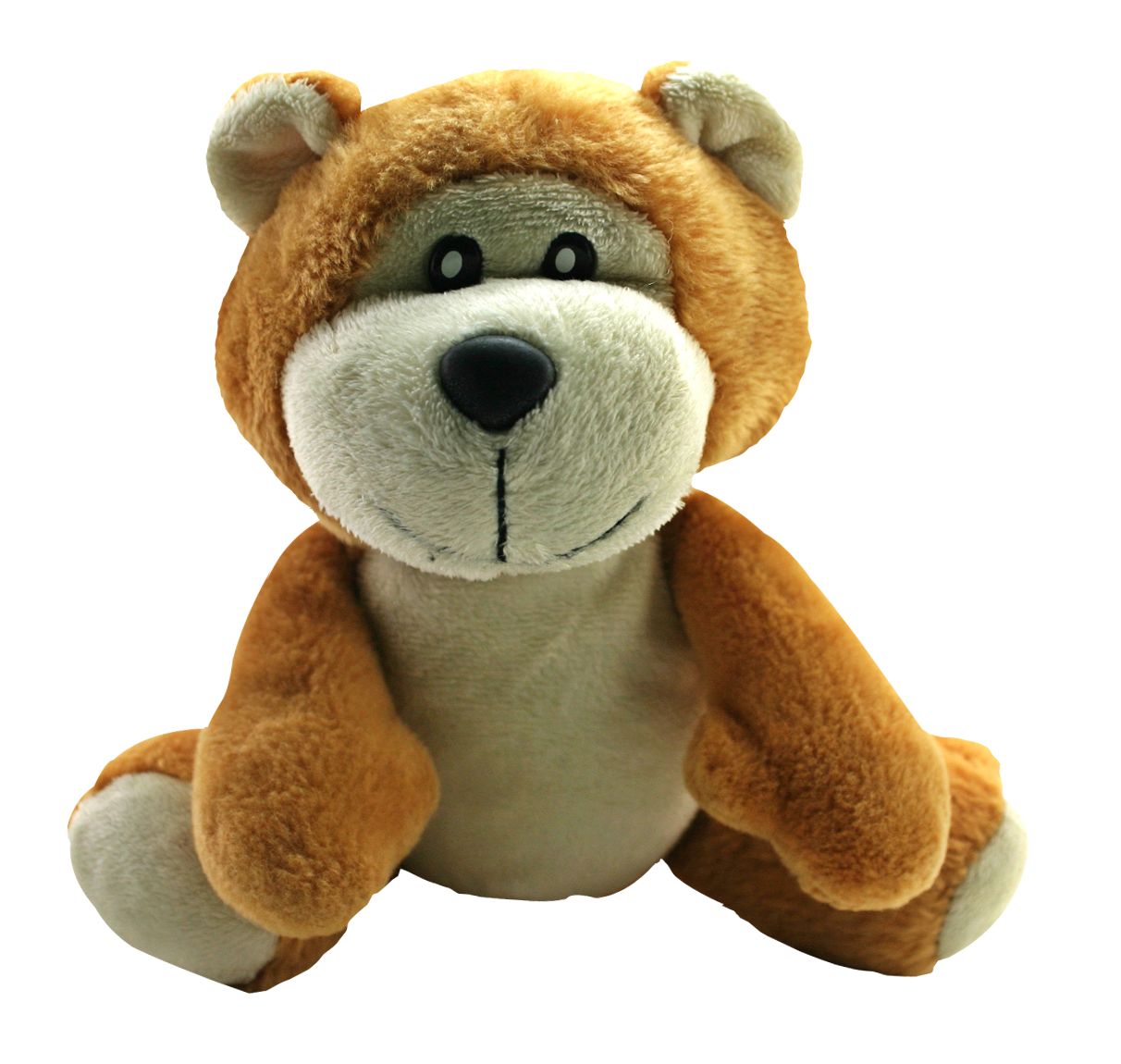 Teddy bear PNG    图片编号:57466