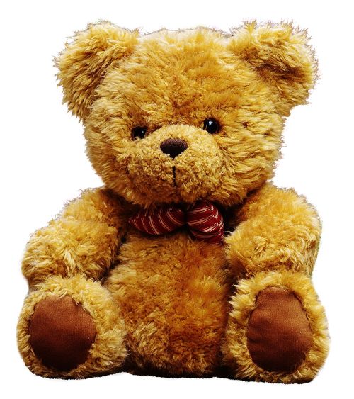 Teddy bear PNG    图片编号:57468