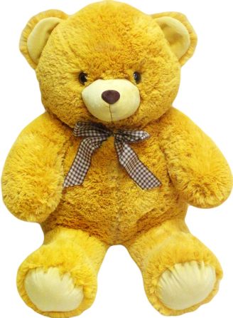 Teddy bear PNG    图片编号:57418