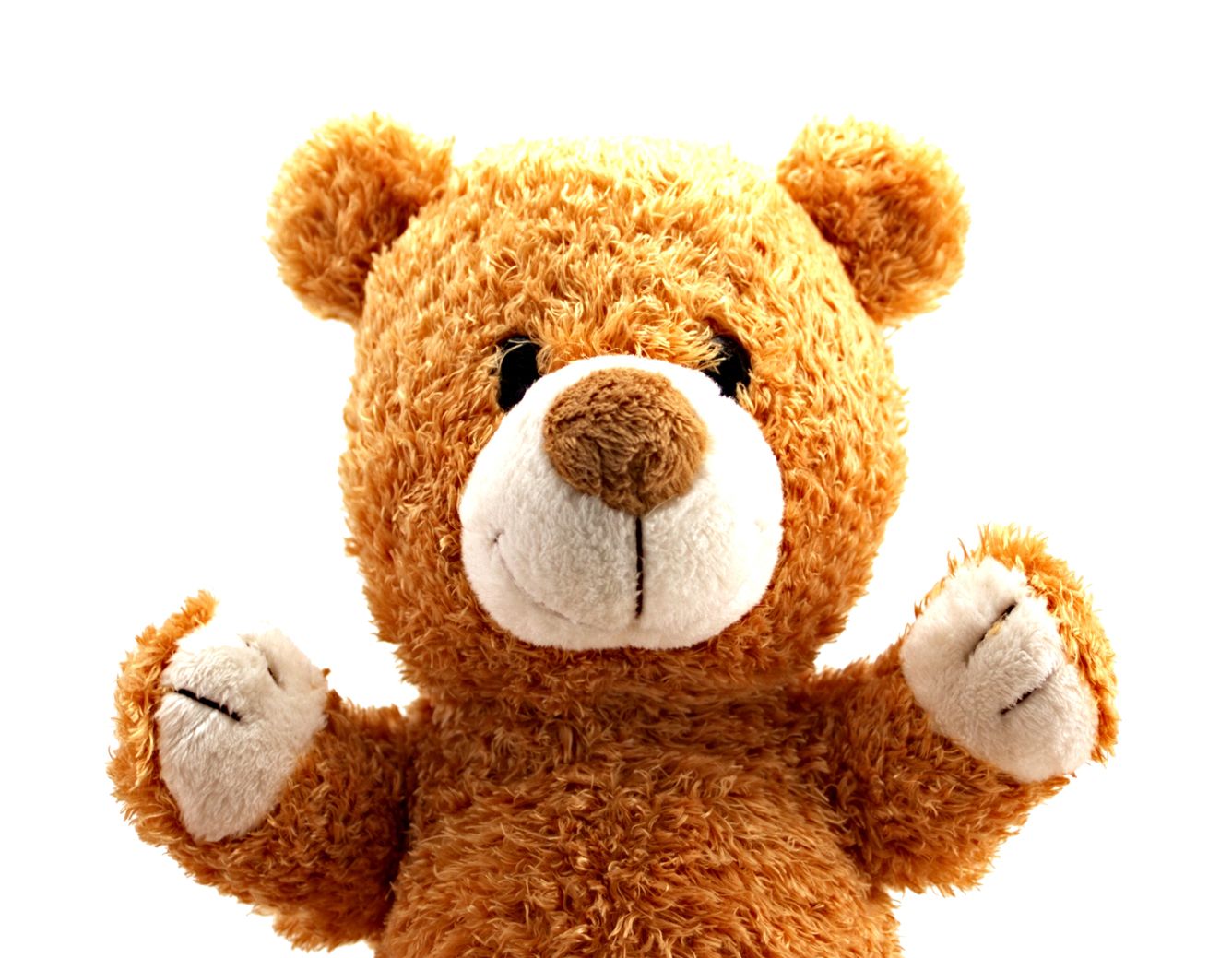 Teddy bear PNG    图片编号:57475